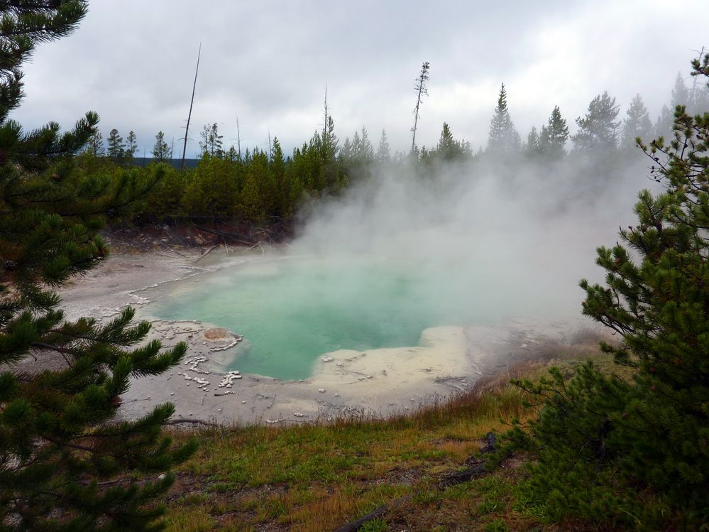 Yellowstone Norris Geyser (7).JPG